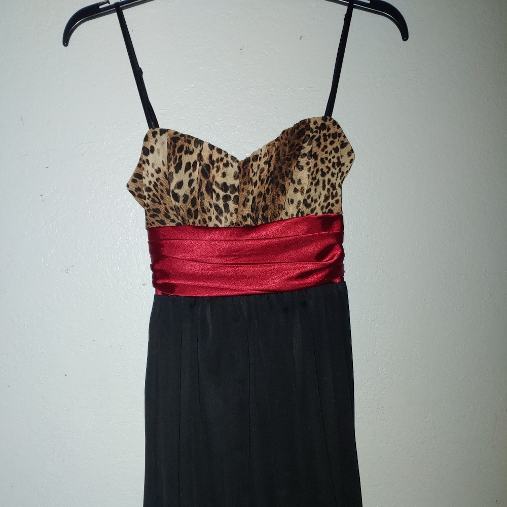 Sexy mini dress with leopard print bust